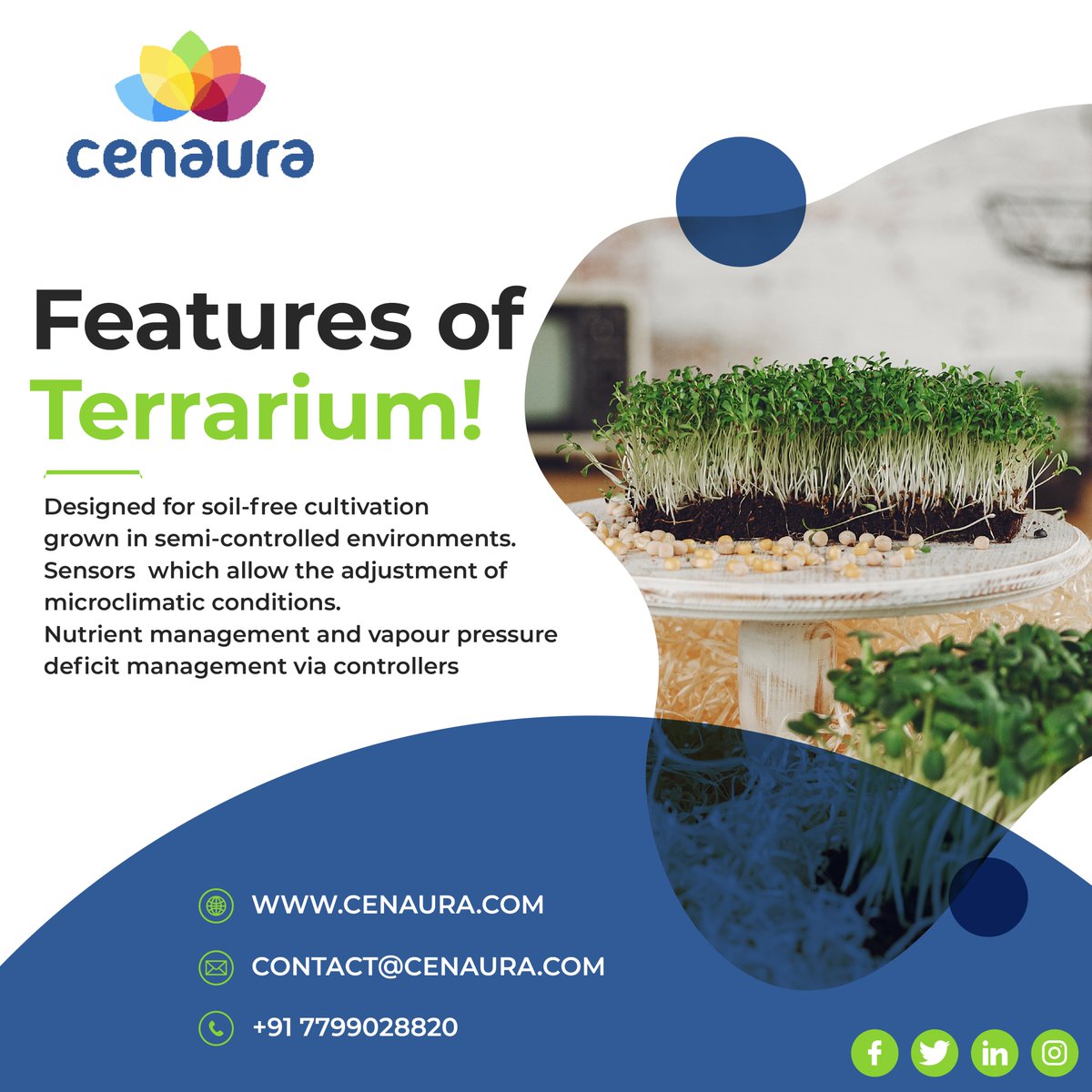cenauratech's tweet photo. FEATURES OF TERRARIUM..!
#terrarium #plants #nature #vivarium #moss #terrariums #reptiles #paludarium #reptile #terrariumdesign #succulents #indoorplants #animals #cactus #plantsofinstagram #terrariumlove #aquarium #reptilesofinstagram #plant #bioactive #mossterrarium #terrario https://t.co/Hkjlbq69Eq