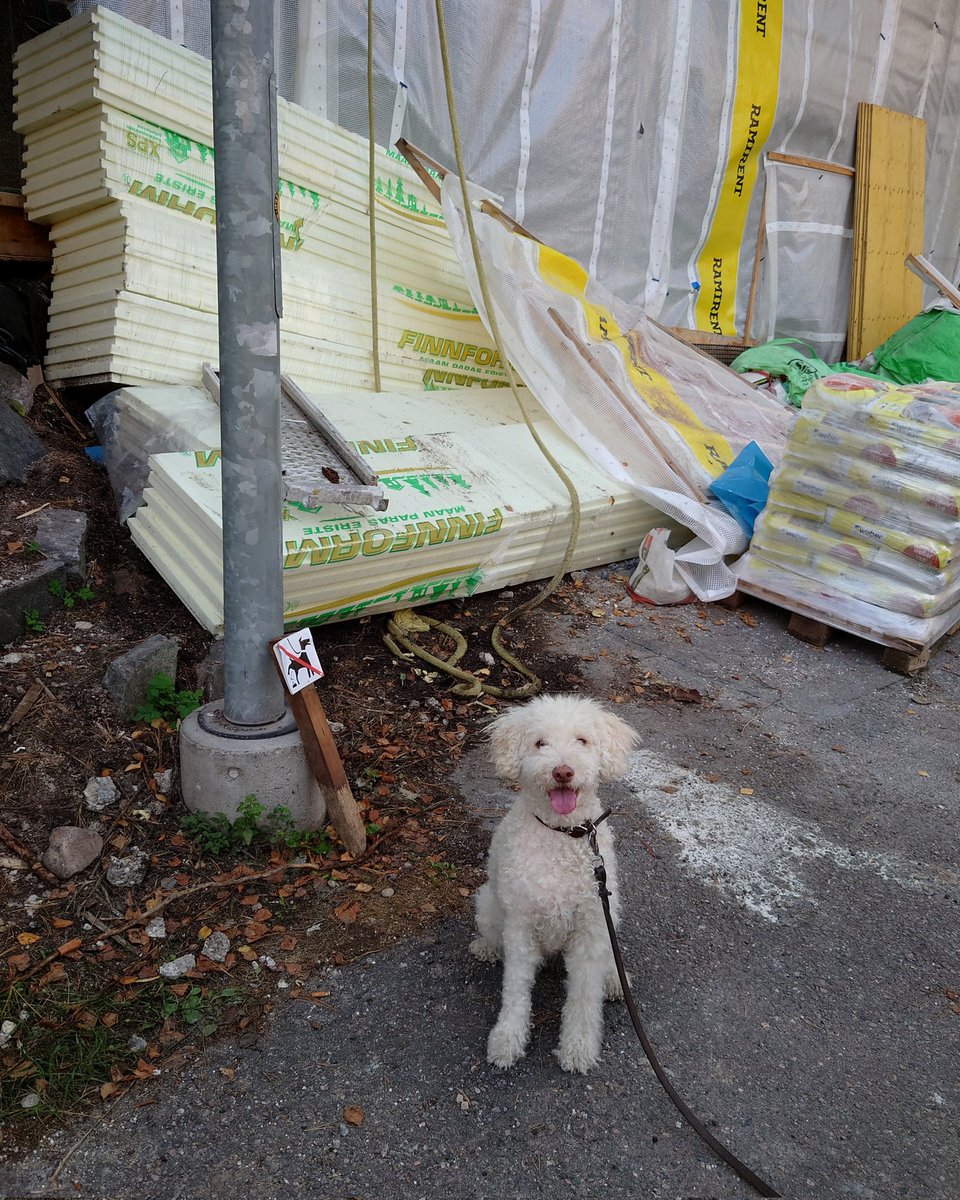 GoodGirlComics's tweet photo. A construction site - forbidden from dogs! 🐶🚫⚒️ Apparently they are afraid that they are put out of work, because for once the work would be done on time and properly. 😁

Picture quiz: Do you notice anything funny in Good Girl? 🧐

#Dog #blog https://t.co/JruauxrEgY