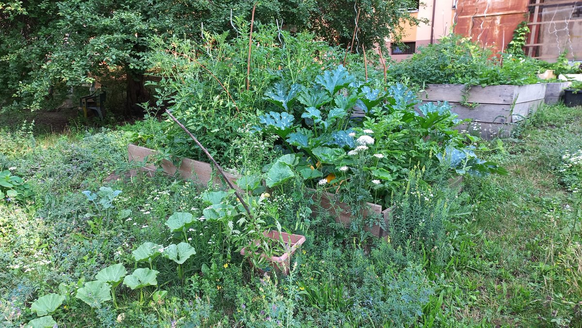 BOKU_IDR's tweet photo. Times of #crises make local #foodalternatives indispensable! @MPixova &amp; Christina Plank from IDR @BOKUvienna will present their @foa_at project at AESOP-Sustainable Food Planning Conference in Almere, NL, talking about recent introduction of urban food policy in #Prague and #Brno https://t.co/6aW6oC9flX