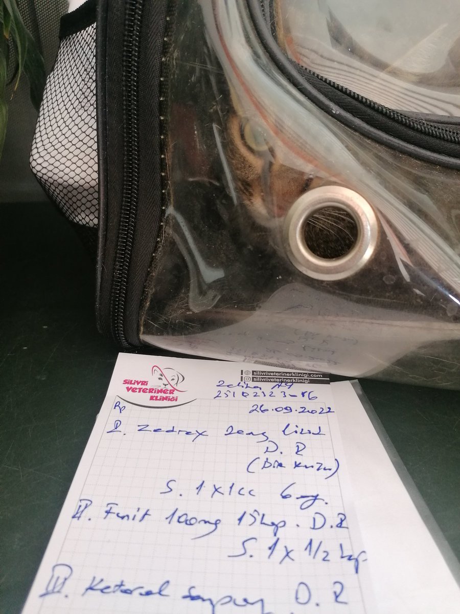 Boncuğu uğur bazana götürdüm. Röntgen çekildi. Mikroskobik incelemeleri yapıldı.Psikolojik dermatit ve mantar olmuş. Tüm vücudu yara içinde. 6 ay vereceği ilaçları kullanıcam her gün ilaçla yıkanacak. Veteriner masrafına destek olmak isteyen olur mu?