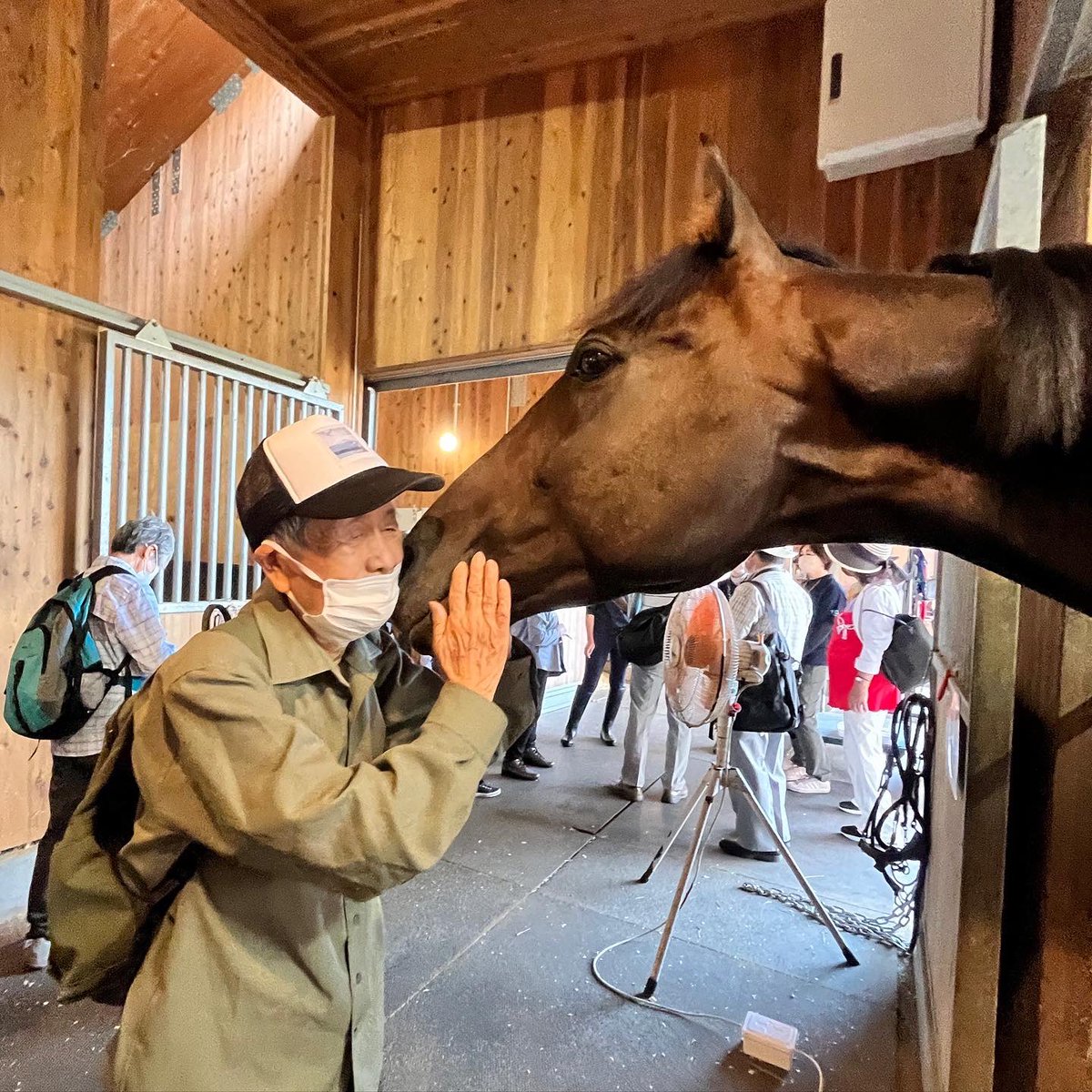 サトノパシュート
さっそくふれあいのお仕事してる😊
やさしい仔なんだな🐴💕

ギリギリになったけど
馬着プロジェクトは
レッドレイル
サトノパシュート
元角居っ仔達に🥰🇳🇬
早く会いたいな 