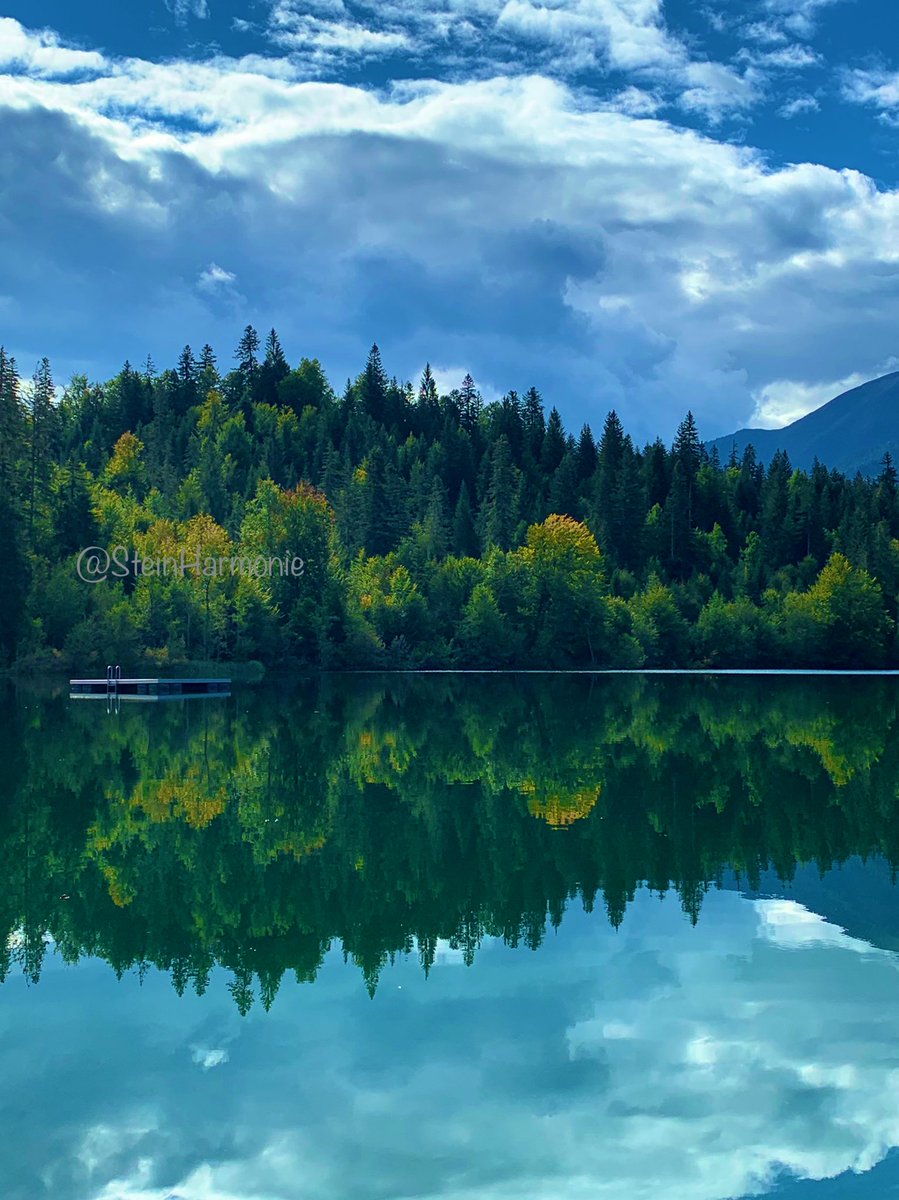 stein5864's tweet image. 🍃🌿🍃🌿🍃🌿🍃🌿🍃🌿🍃🌿🍃