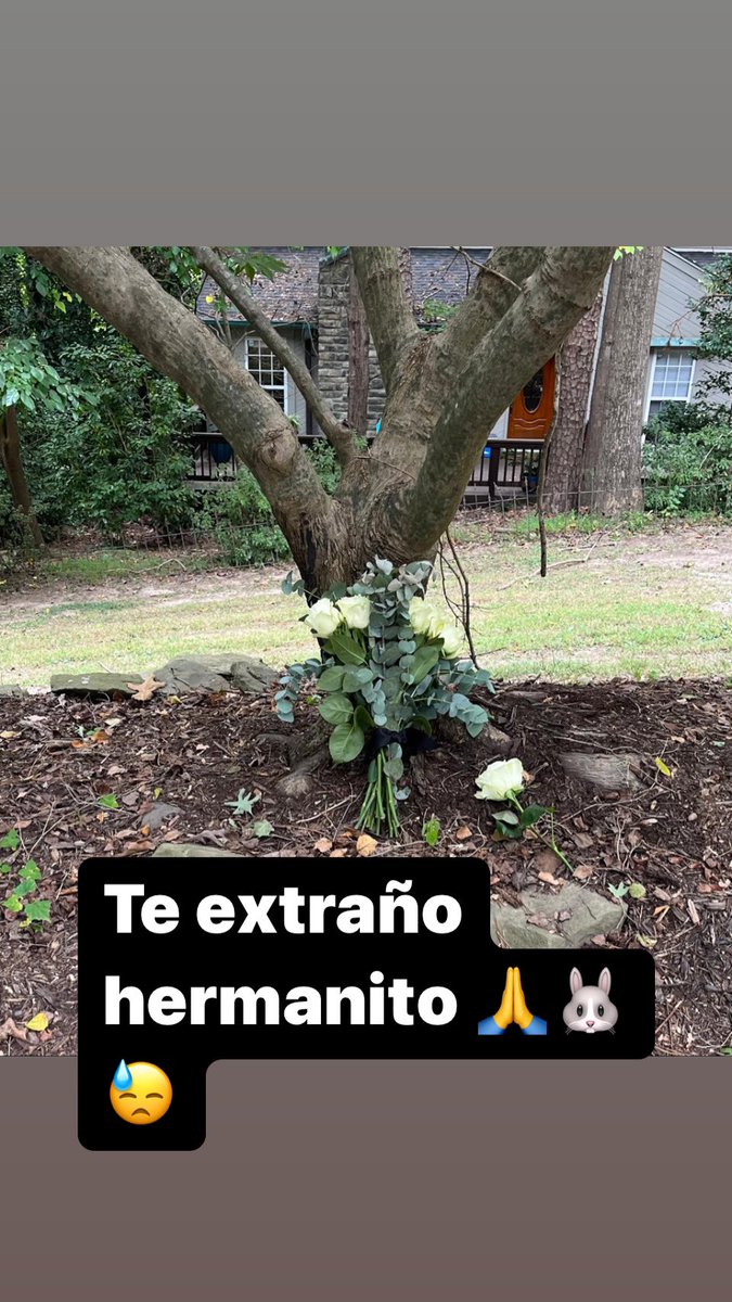conetarantini's tweet photo. Te extraño mucho tres años sin vos hermano querido @georgetarantini https://t.co/kmXSdYo1Ve