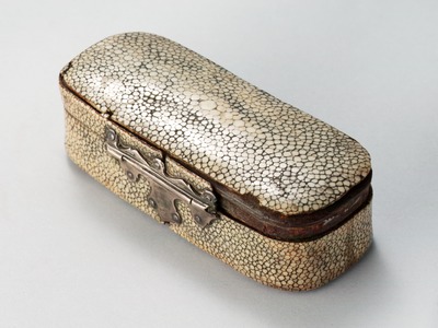 Ontdek de verrassende en duurzame toepassingen van vissenhuid in de reizende tentoonstelling Leer van vis. Tot 18 december 2022 te zien in Museum 't Oude Raadhuis op Urk.