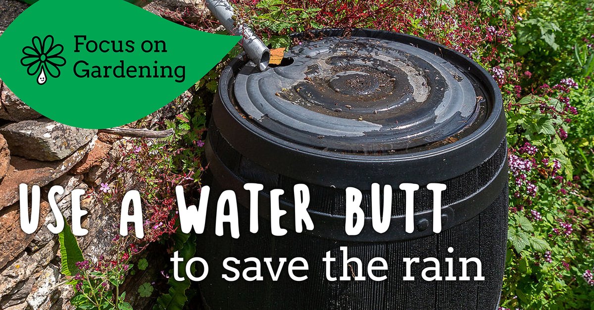 WaterUK's tweet photo. If you haven’t got a water butt then now is the time! Rain water is great for gardens as it contains nitrates, and has less salts and chemicals than tap water. 

Find out more tips on managing and saving water for better plants: https://t.co/v8ylGSZK1i

#WatersWorthSaving https://t.co/chhyjXT4ta