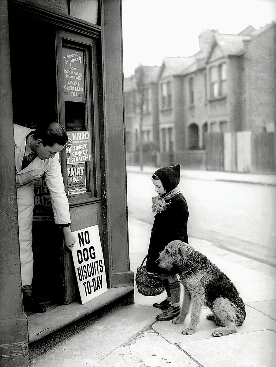 cameralab21's tweet photo. Ernest Hemingway - Pas de biscuits pour chien aujourd'hui https://t.co/wSPro6vQEV