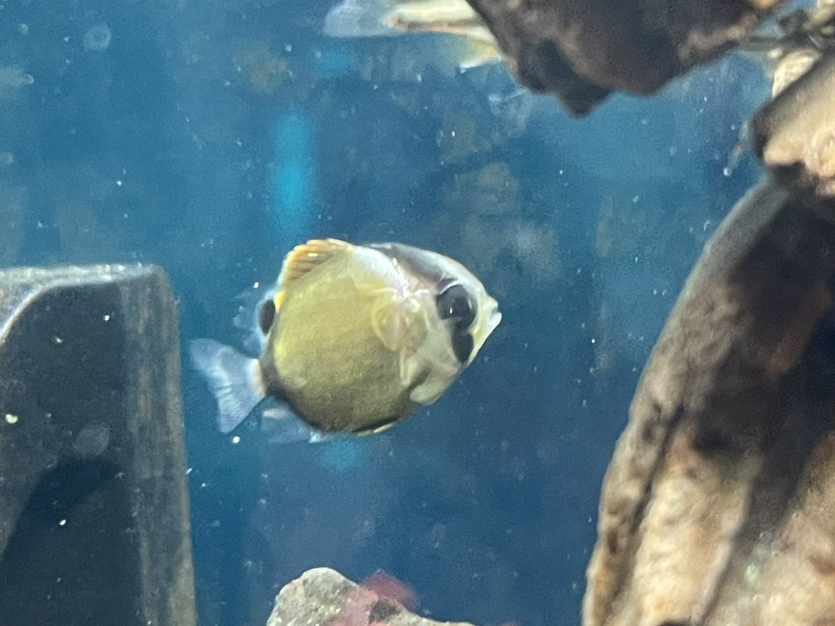 Cr.タートル🐢人生を豊かにするブログ tweet media