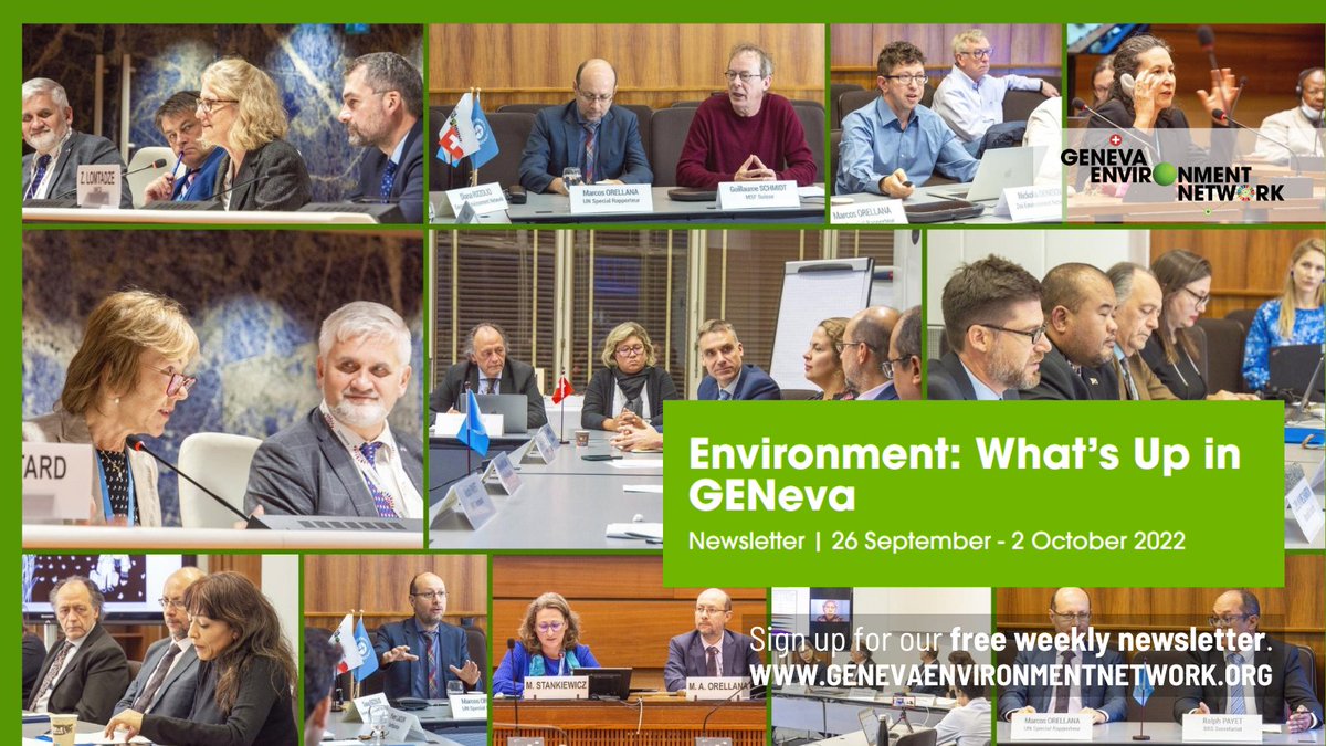GENetwork's tweet photo. #Environment: What's Up in #GENeva from 26 Sep - 2 Oct?

✅ #Trade &amp; Environment @ #WTOPublicForum, #GTW22, #T4SD Forum
✅ #HumanRights &amp; Environment @ #HRC51
✅ #Climate Crisis: Latest on #Science &amp; Action 
✅ &amp; more

Check events, #jobs &amp; suggestions ▶️ https://t.co/mfE88AYCbj https://t.co/MB7OwcSPGv