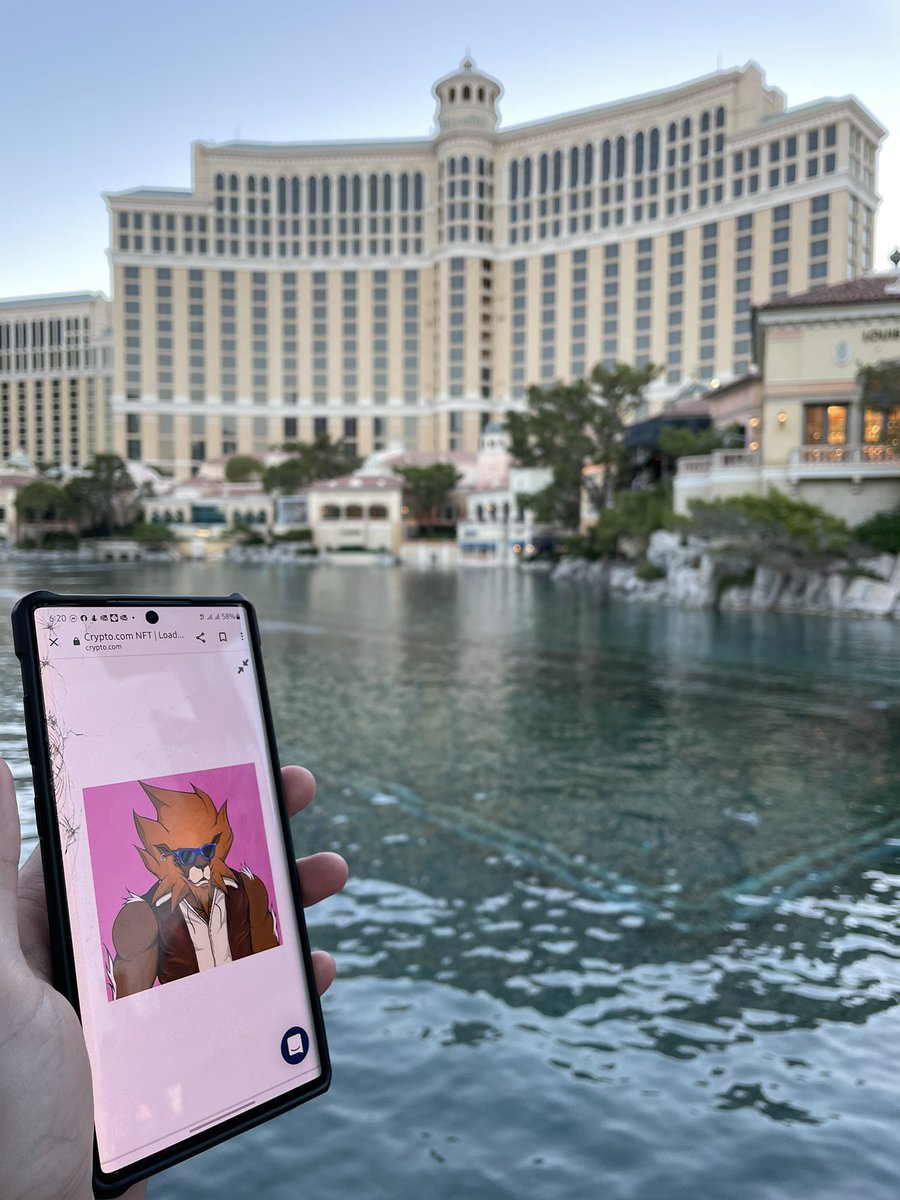 _Pittman_'s tweet photo. Some sightseeing before another tuning session.

 #LoadedLions    , #CyberCubs    #LoadedLionsTakeOver https://t.co/UHKAcd2mny