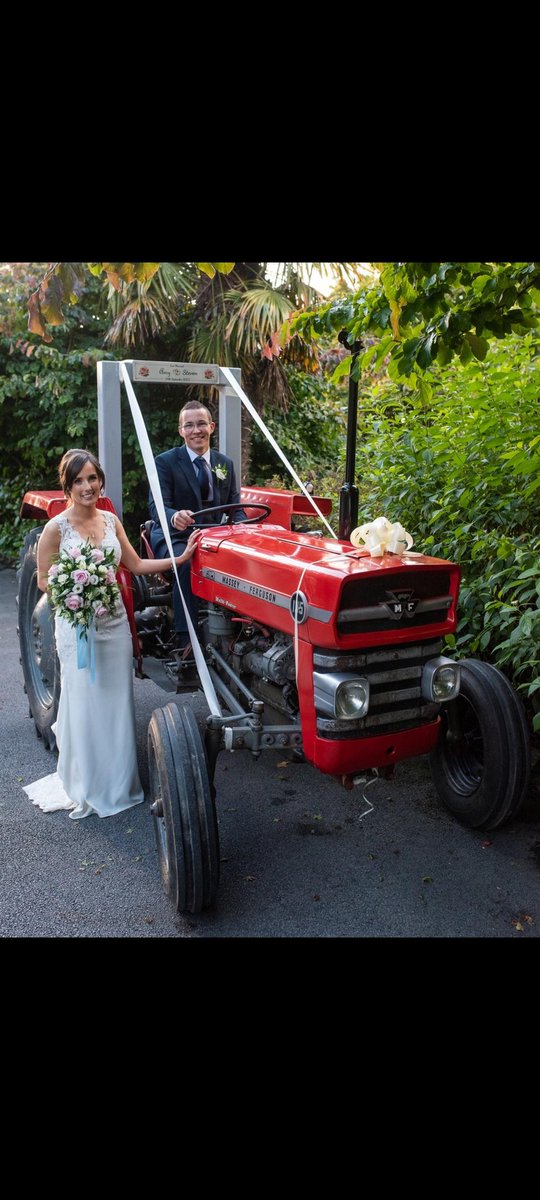 Steven Tierney tweet media