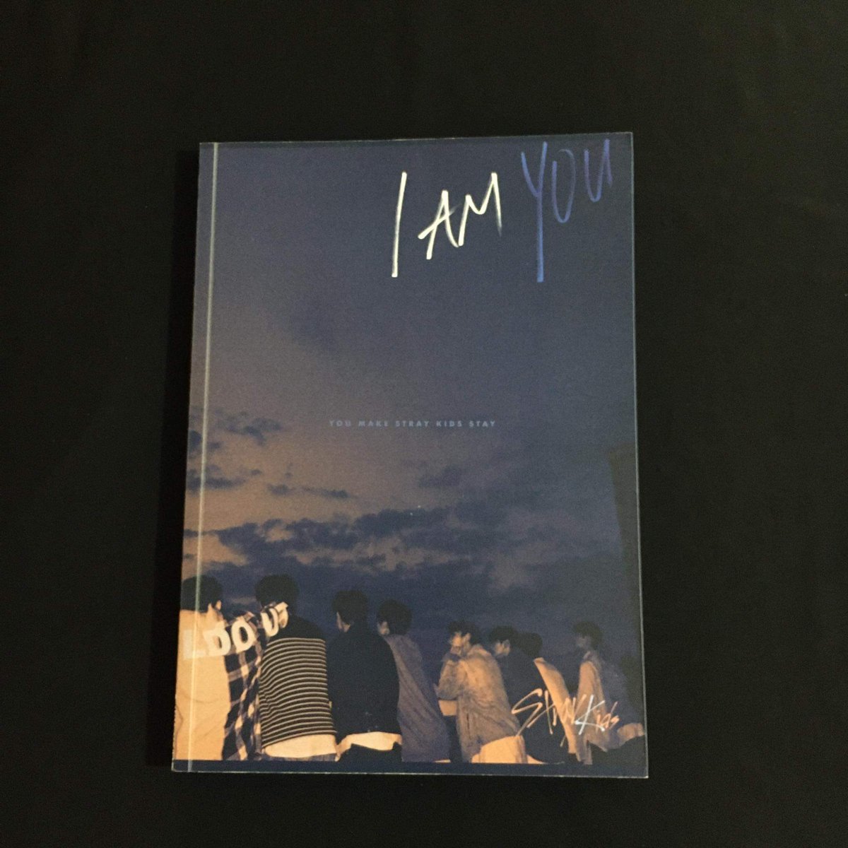 _artkaz's tweet photo. wts stray kids i am you album liz love dive pc seungmin pob https://t.co/10YkjHFbyb