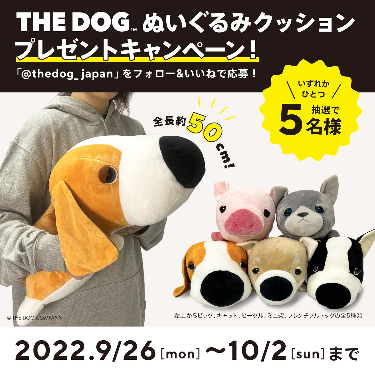 The Dog And Friends Thedog Official Twitter
