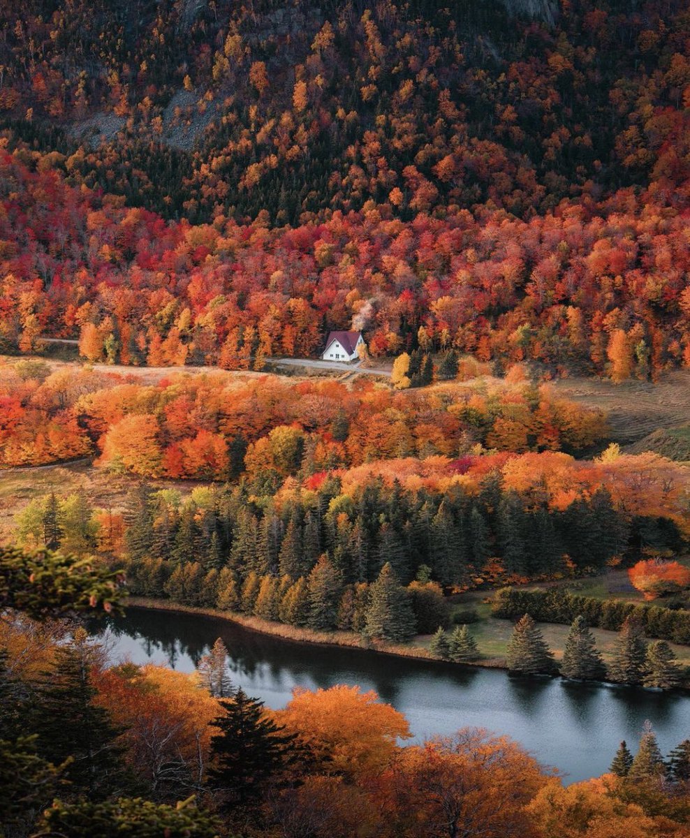 🇺🇸 L’automne et ses couleurs magnifiques dans le New Hampshire !
☀️ Très bonne journée et belle semaine à tous ! 🍀 💛

📸 ryanresatka