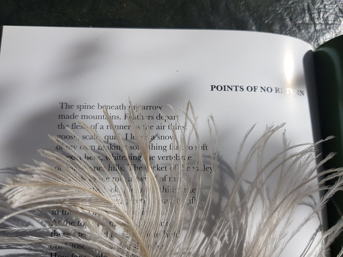 Accent-feast alert! Beautiful way to fill a house with poetry (and I loved reading along in the book). Thank you for including my poem 'Points of no return' dear Dami - & my reading being at 46mins(ish) is neat, cos who doesn't love a centred triangular number