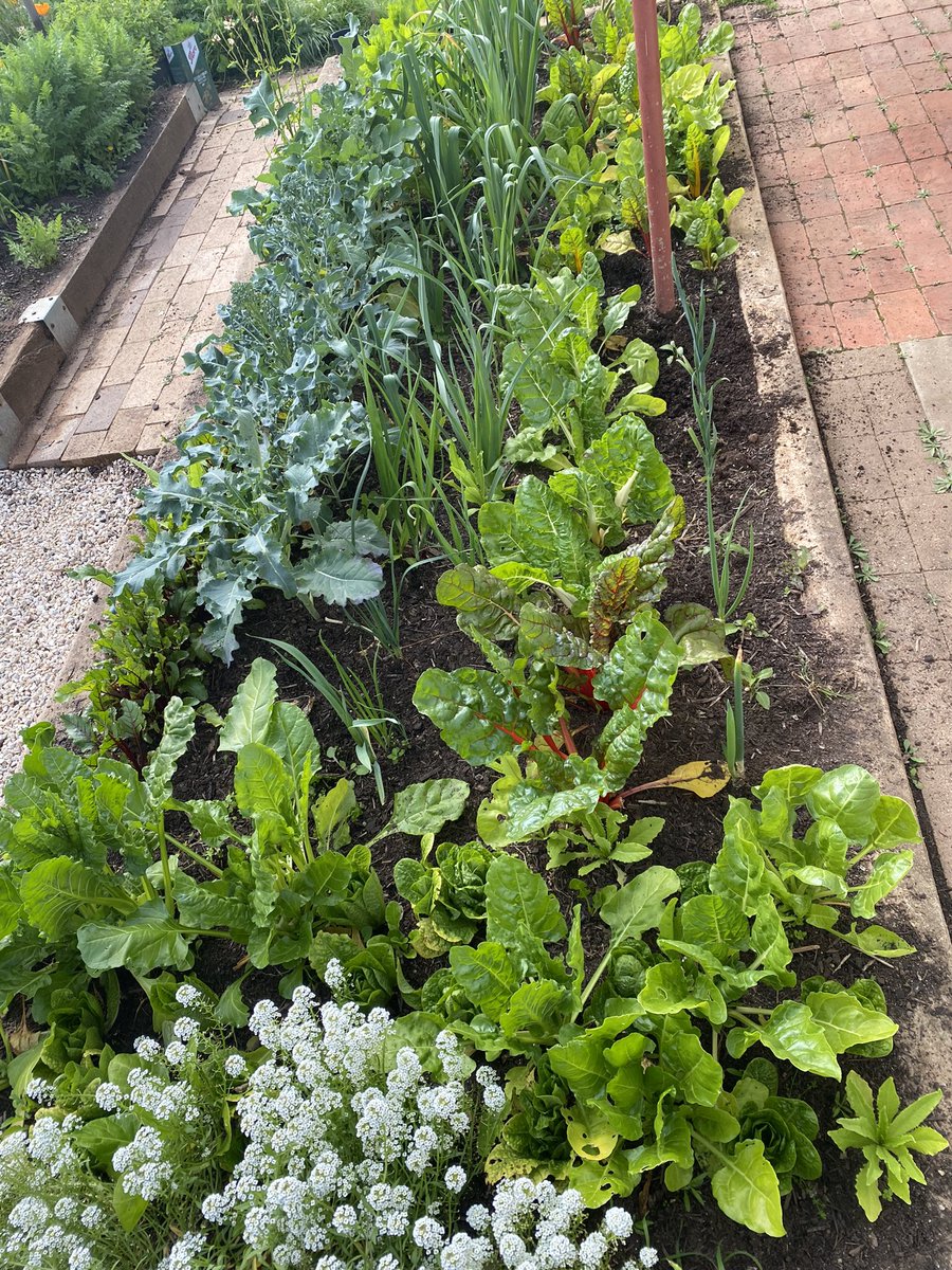 MerrettOpal's tweet photo. Out in my favourite garden today! https://t.co/m7XeNVoY6l