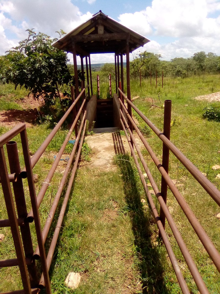 MOSESCharityOr1's tweet photo. Dip Tank for goats in pemba district southern of Zambia
#SaveCowSaveVillages
#SaveGoetsFromTicks
#FreeTicks https://t.co/GUWJCaFm8L
