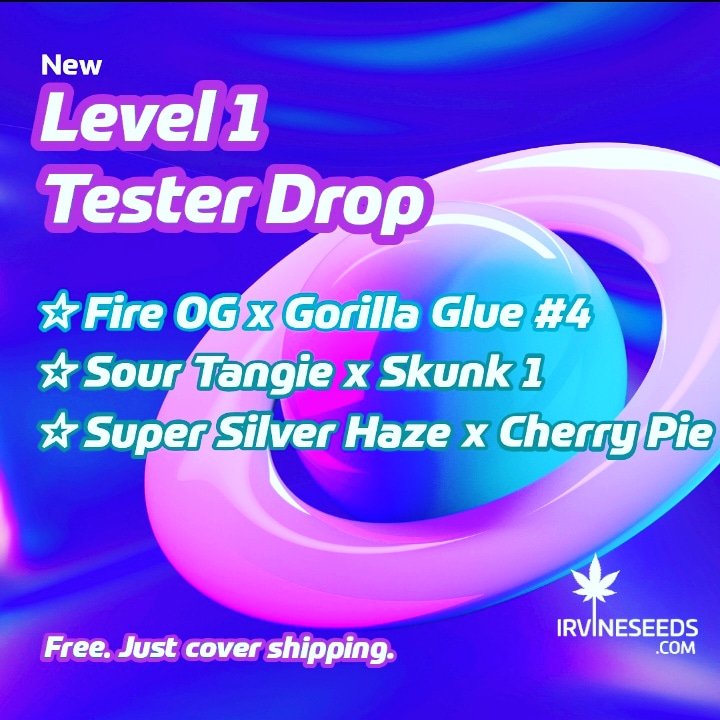 N0RW00DCREEK's tweet photo. @irvineseedco
Get these Now π€―
I really want the First 2 π₯π₯
@breeder_j
#level1tester
@eleenwen
#marshydro
#ts1000 https://t.co/8adFtEynsY