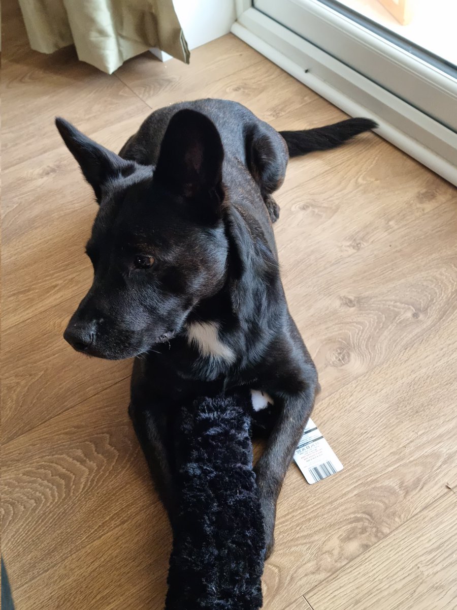 Countless toys that have been bought for you? No thanks, just the draught excluder please.