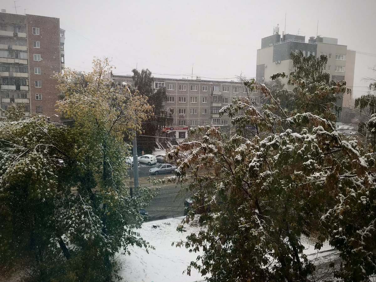 We have the first snow in the Urals in the morning 😅