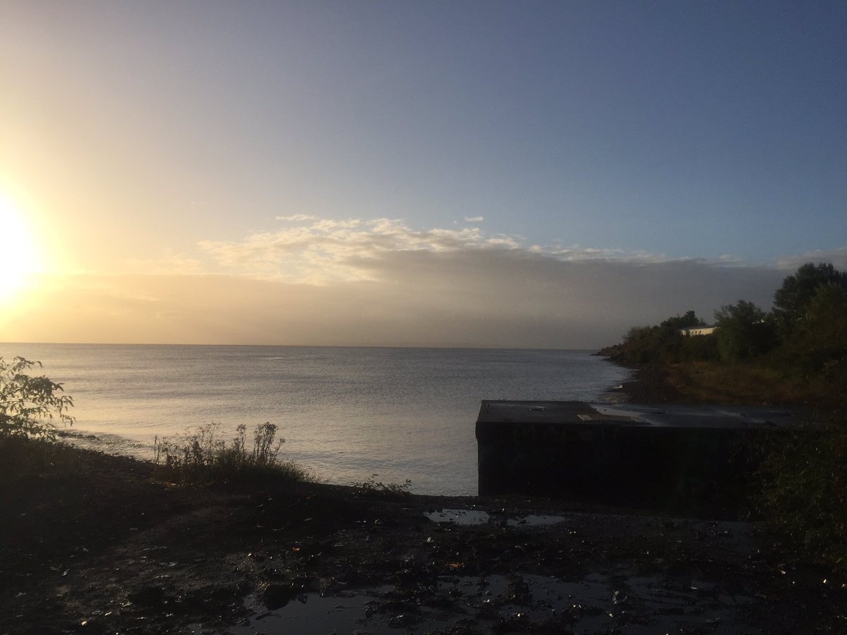 Russell_Arnott's tweet photo. A quick sunrise stop-off at #SplottBeach to collect seaweed for my teacher training workshop at @Techniquest today.
As weird as this beach is, it saved my sanity during lockdown.
It’ll always have a special place in my heart
🥰 https://t.co/9ZYc99FQbo
