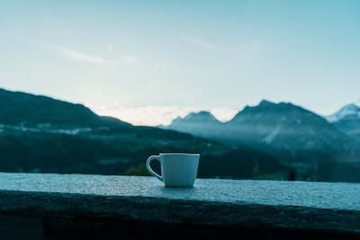 Stefhan27265797's tweet photo. Photo By Oliver Niblett | Unsplash 
 #dogcollars #dogaccessories #glittersigns #arielrose #activitypartner https://t.co/j0wIicvEm1