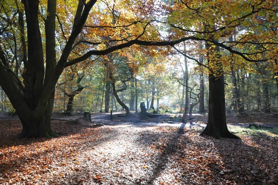 Miss the warmth but I love Autumn 🍂 ❤️
#EveryoneNeedsNature