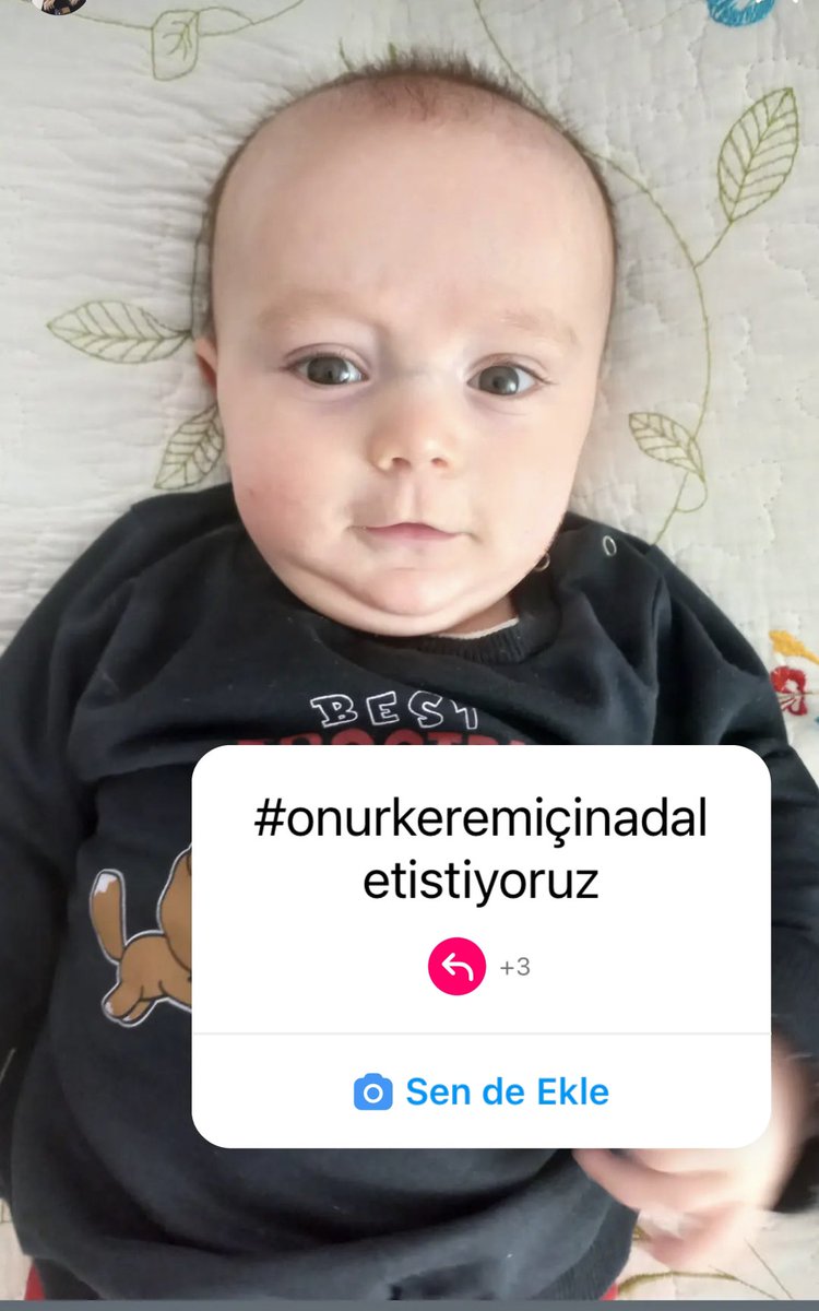 _jackal__'s tweet photo. ADALET İSTİYORUM. https://t.co/UcDwuNnrzg