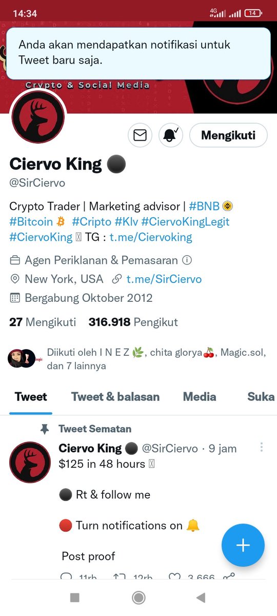 imel_pasa's tweet photo. @crypto_inez @SirCiervo https://t.co/0Kr5AwPson