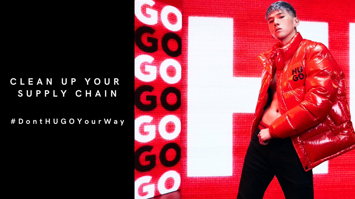 Massimo Gonzato tweet media