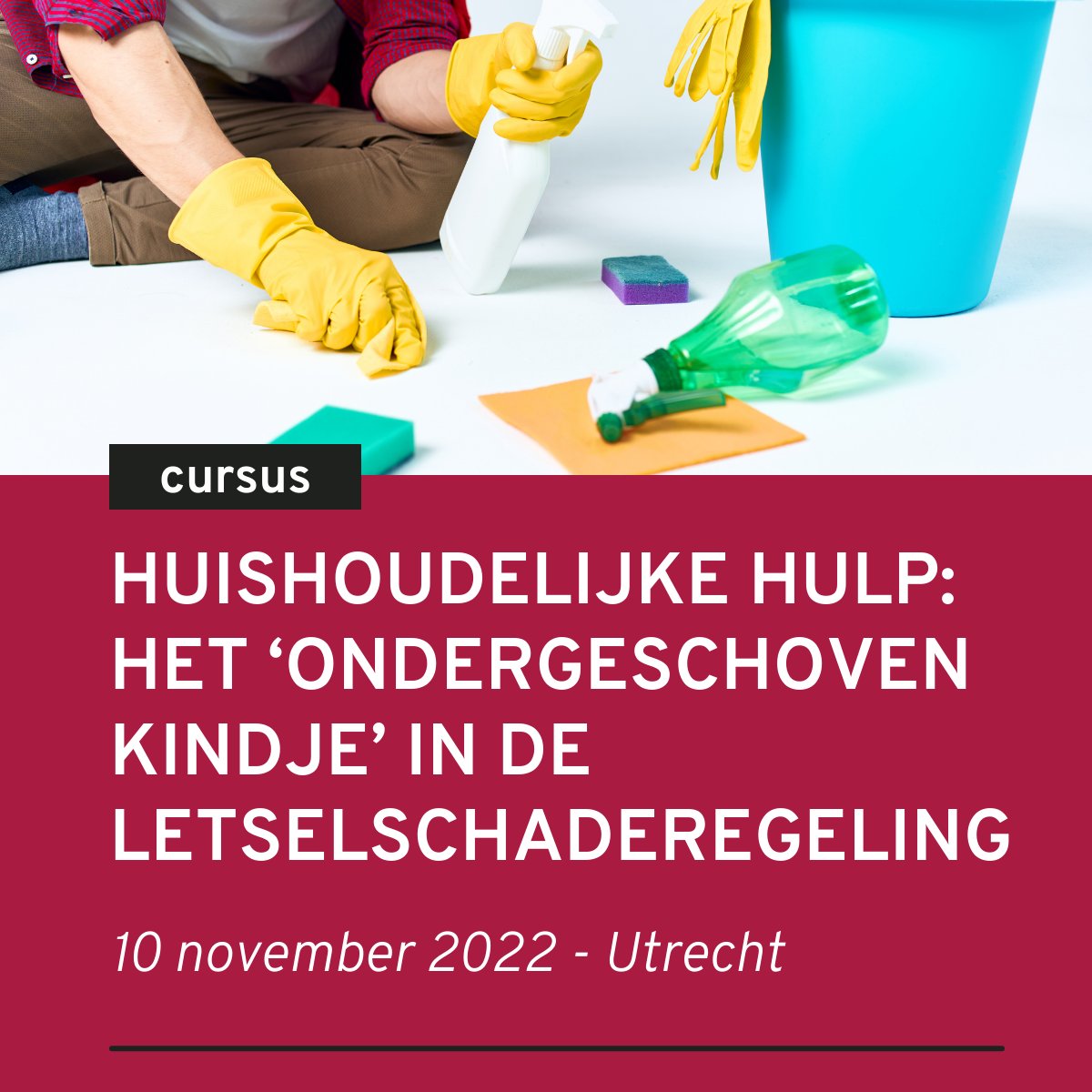 In deze cursus krijgt u een overzicht van zowel de juridische als praktische aspecten rondom huishoudelijke hulp en de berekening van deze schadepost. kerckebosch.nl/recht/huishoud…