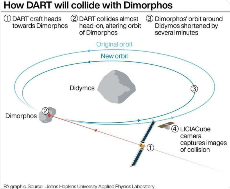 puffeltje's tweet photo. Komende nacht van maandag op dinsdag 1.14 uur Ned. tijd, zal er een opvallend experiment gaan plaatsvinden. Een maantje (#Dimorphus) om de asteroïde #Didymos moet dan in een andere baan gebracht worden. Ruimtevaartuig #DART (zo groot als een golfkar) botst dan tegen het maantje. https://t.co/ifNrcwGPLR