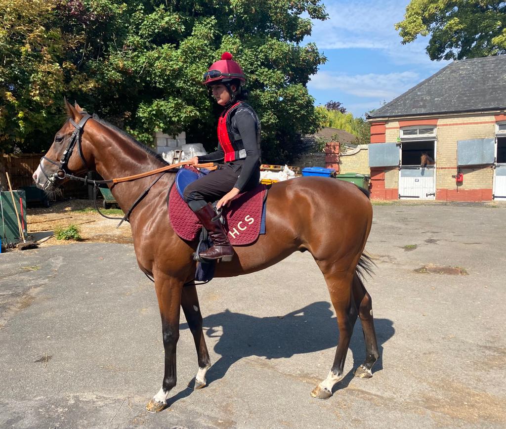HarratonCourt's tweet photo. 💫This is Pearl Eye, a 2yo colt by Expert Eye 🏇

He's a good looking horse and we are looking forward to seeing him race on Tuesday in a 7 furlong Nursery handicap at @WolvesRaces  

#PearlEye #ExpertEye
#DarryllHolland
#RaceHorse
@HarratonCourt https://t.co/LGgf9aKv4X