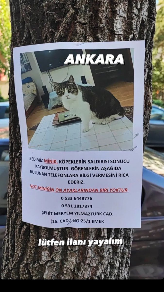 nobel & rosalind (@nobelserserisi) on Twitter photo 