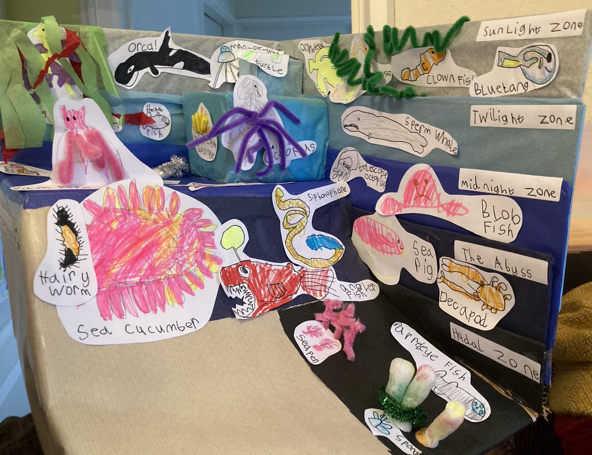 wurdsmyth's tweet photo. Flo made a model of the zones of the ocean for her homework and it’s a total joy. If you need a boost this morning, here are some highlights…
(I particularly love the incredulous punctuation with the Headless Chicken Fish…😂)
#AccordingToFlo https://t.co/wNBGgHPXp5