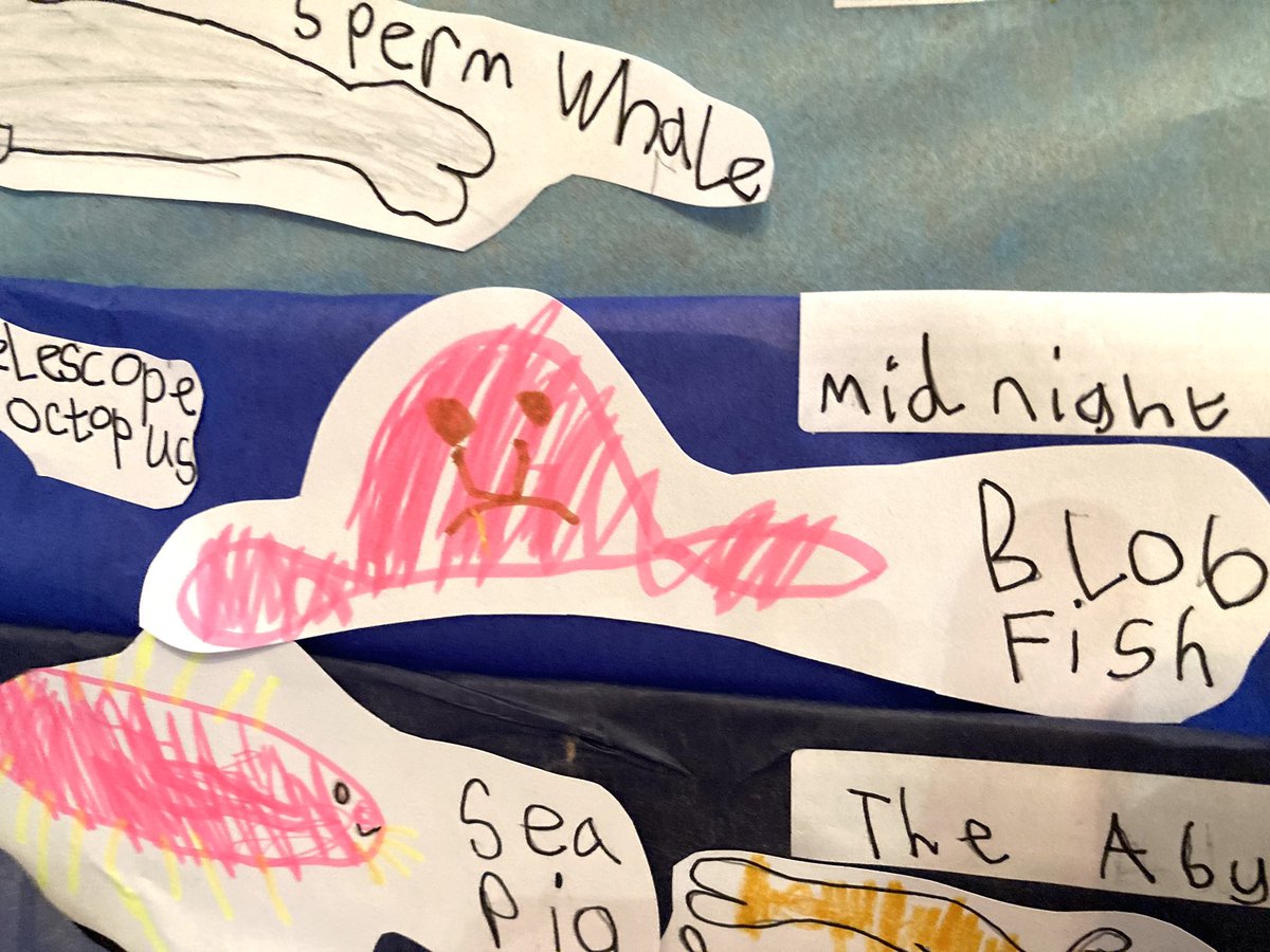 wurdsmyth's tweet photo. Flo made a model of the zones of the ocean for her homework and it’s a total joy. If you need a boost this morning, here are some highlights…
(I particularly love the incredulous punctuation with the Headless Chicken Fish…😂)
#AccordingToFlo https://t.co/wNBGgHPXp5