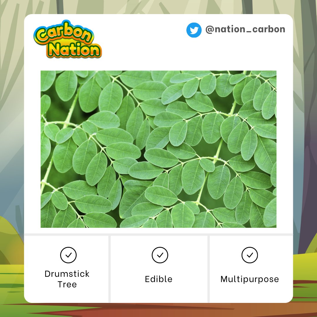 Carbon Nation tweet media