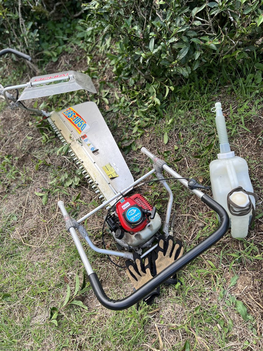 ST6TR5's tweet photo. 本日のプライマリー…
#kmkdfarm
#GRTC https://t.co/bPvDjfyXsV