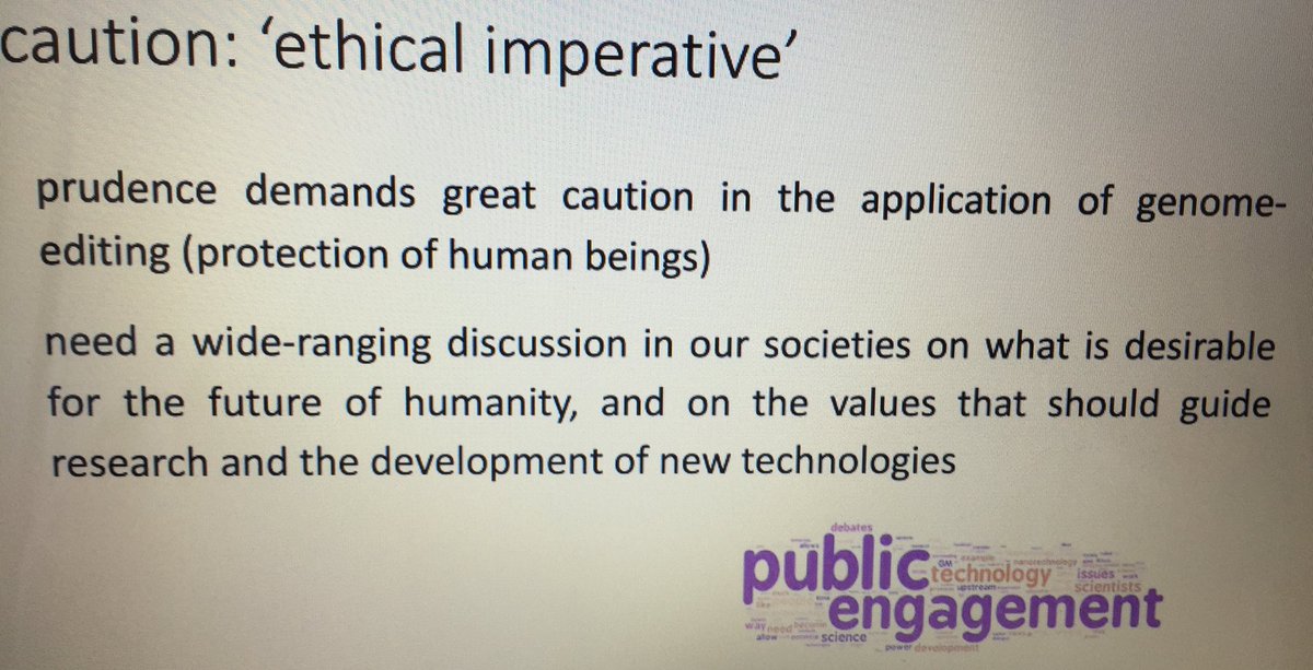 PostigoElena's tweet photo. Listening to Prof Laura Palazzani on “Gene-editing: ethical and legal issues”. Prudence and caution, protecting future generations. #EthicsOfEngineeringLife https://t.co/lVdcYnfZ1J
