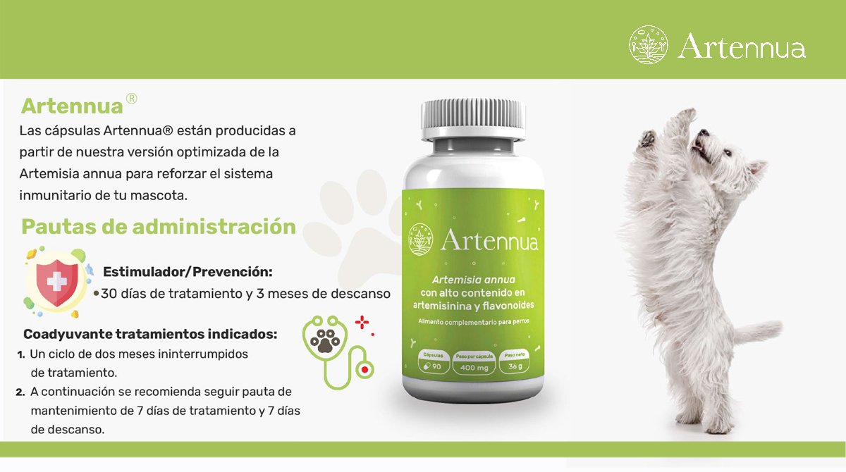 ARTENNUA® tweet media
