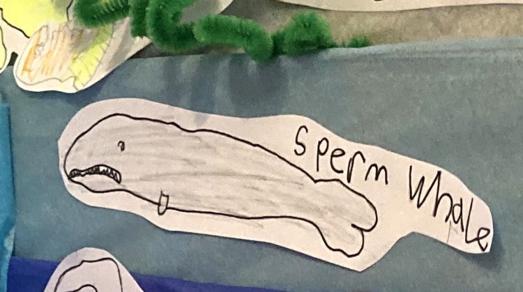 wurdsmyth's tweet photo. Also the Sperm Whale sums up that Monday feeling perfectly…
#AccordingToFlo https://t.co/Hnl5ubkhVj