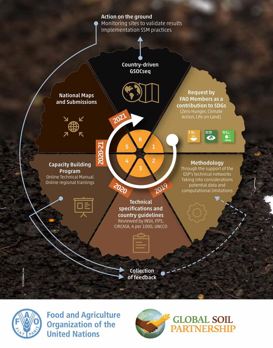 The Global Soil Organic Carbon Sequestration Potential Map (GSOCseq) represents the potential of SOC sequestration in agricultural soils. 430 experts from 119 countries🌏were involved in its development.

🗺Map➡️
http://54.229.242.119/GloSIS/
🗺Brochure➡️ fao.org/documents/card…