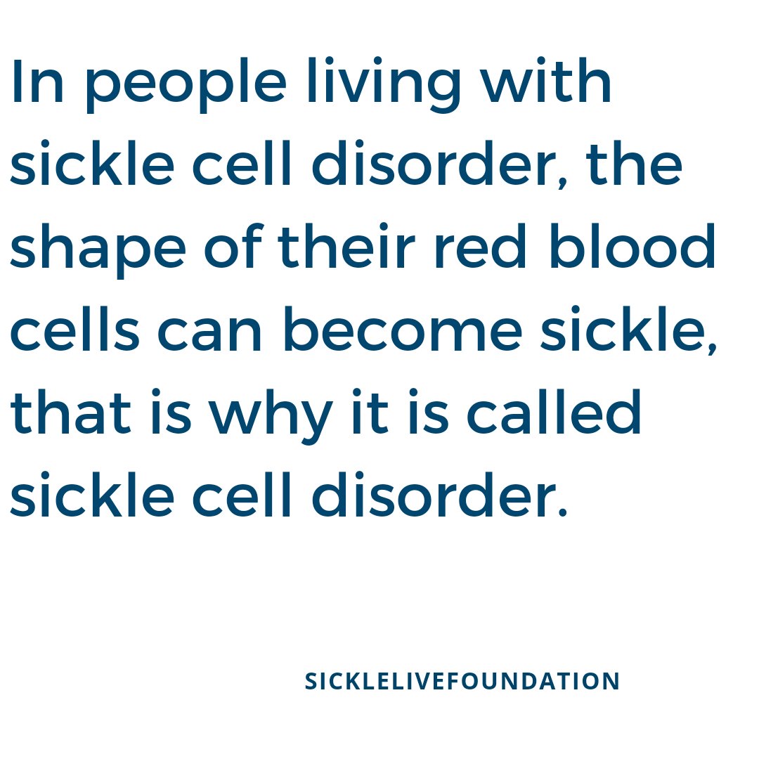 Sicklelive's tweet photo. #sicklecellawarenessmonth
 #sicklecelldisease 
 #sicklecellwarrior 
#sicklecell 
 #SickleliveFoundation
 #SickleCellCelebs
#DrTee
 #KnowYourGenotype
 #BreakTheSicklecycle
 #BeSickleSmart https://t.co/SiKAzsQGi5
