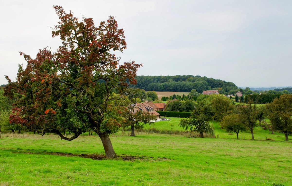 David V.D Smissen tweet media