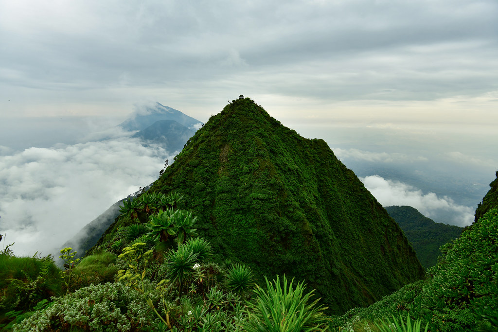 EllyTumwesiga's tweet photo. Rise and shine I say Uganda #At60. Freedom sounds and views at the summit of Sabinyo Volcano.
#ExploreUganda #safari #travel guide. https://t.co/F9QmDFycHL