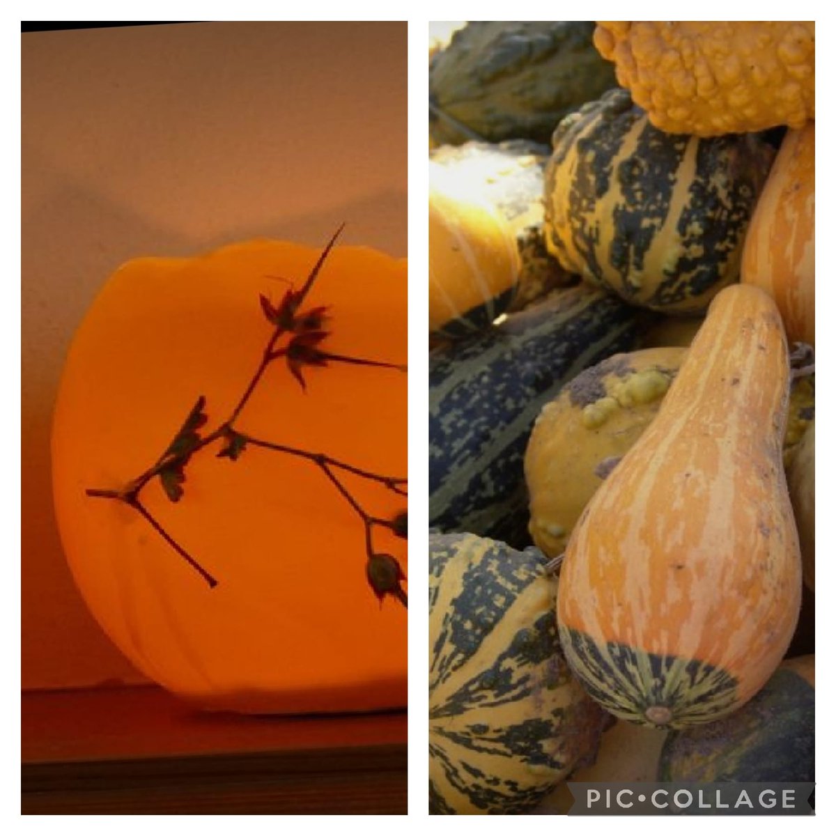 M&amp;C Gourds and Globes Autumn Workshop.    

4/10/22 7-9pm         

This workshop will get you in the mood for Autumn by exploring wax dipping to create globes and try your hand at a spot of gourd carving. 

£15 p/p, this inc. all materials and also cake! Email to book a space.
