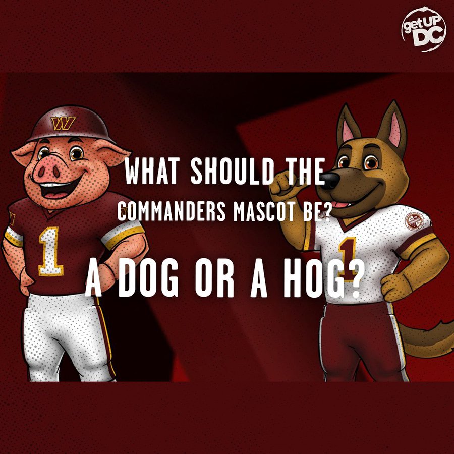 Commanders mascot search: Dog or hog? 