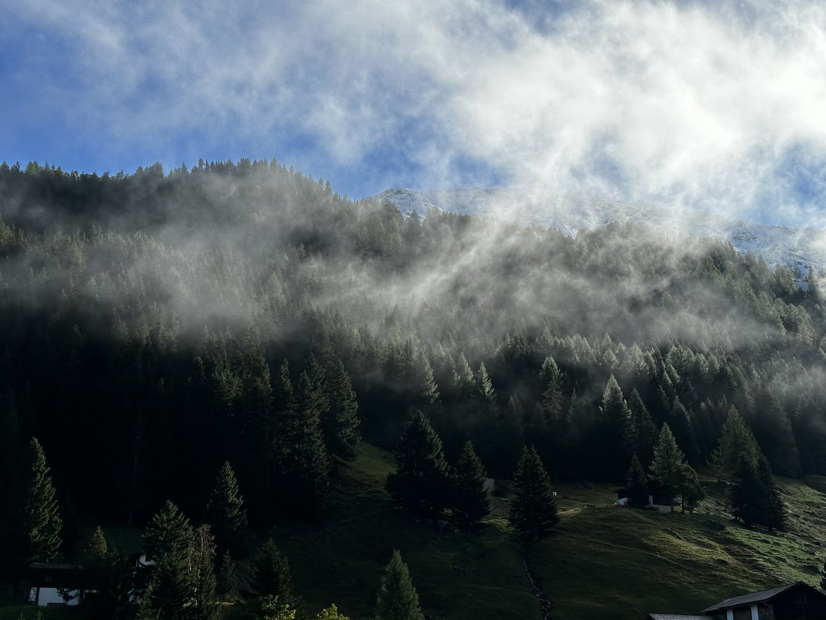 SLF_MountEcosys's tweet photo. What a day for our research group excursion at #Stillberg #CERC
@ale_bottero @annekempel @christian_rixen https://t.co/d9uOfuFWkY