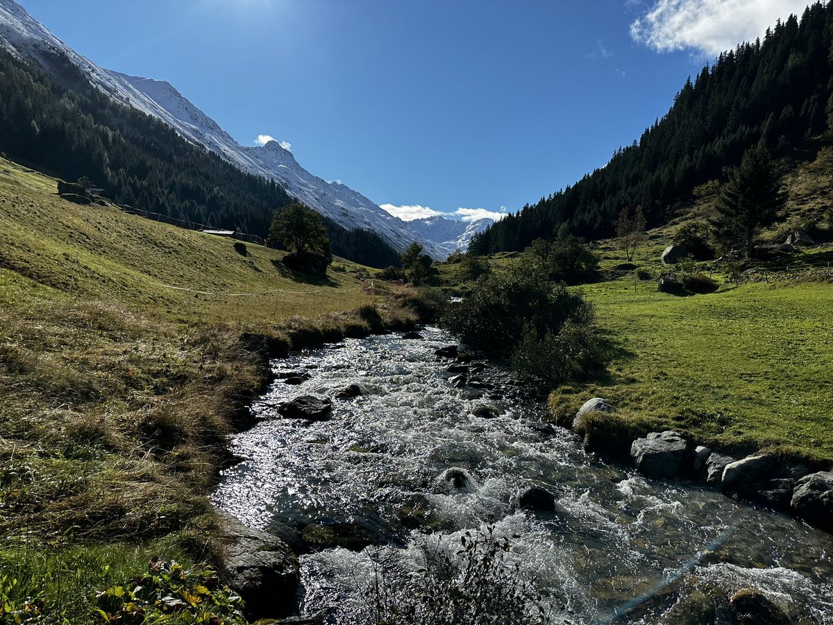 SLF_MountEcosys's tweet photo. What a day for our research group excursion at #Stillberg #CERC
@ale_bottero @annekempel @christian_rixen https://t.co/d9uOfuFWkY