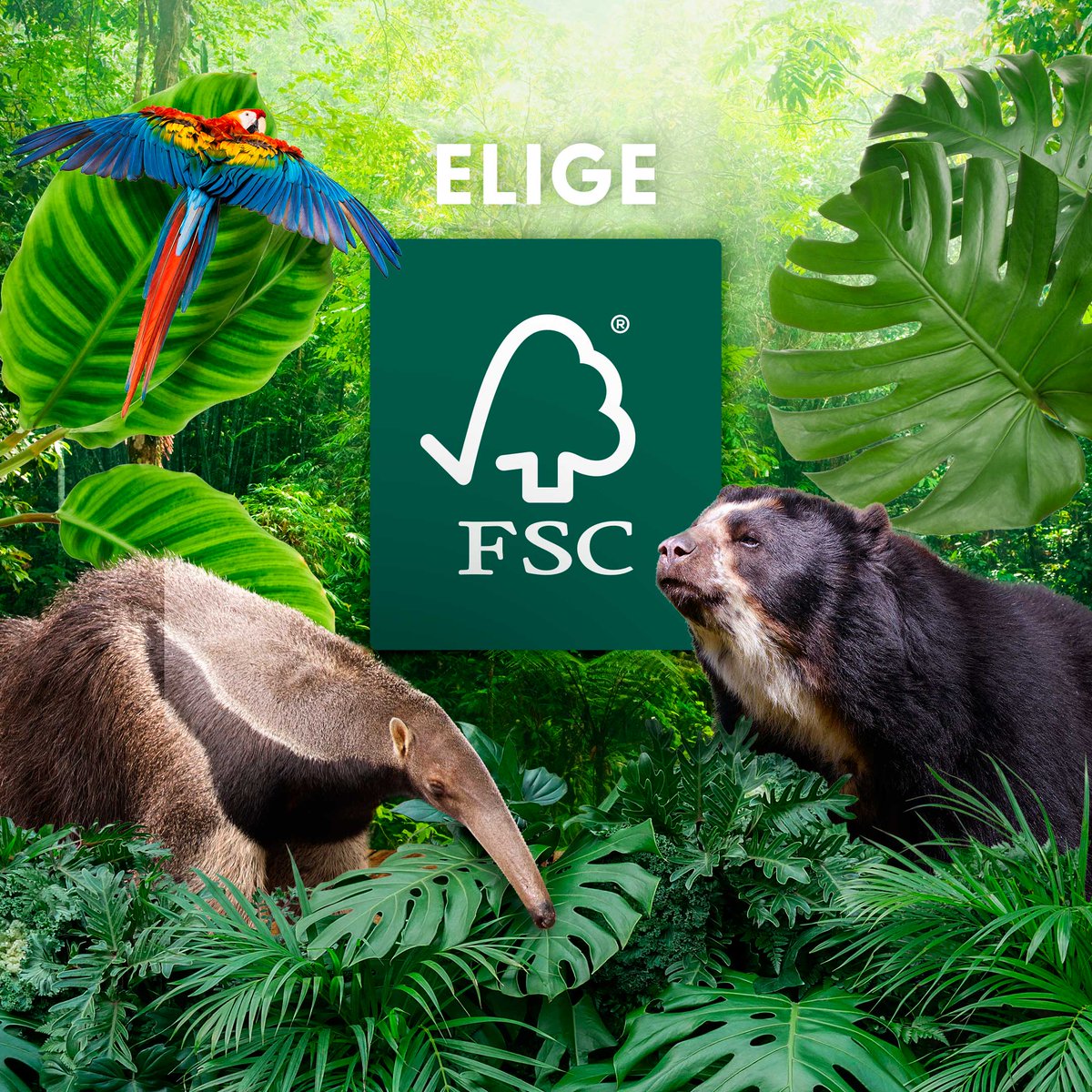 PMC Soluciones integrales para la oficina tweet media