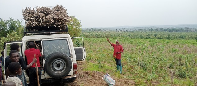 Caritas Congo Asbl (@caritascongo) on Twitter photo #RDC/Kwilu : le PSA Kikwit étend la culture du #manioc TME419 ou OBAMA (variété panifiable) aux ménages du Secteur Kwenge. bit.ly/3UH5oIQ
<a href="/NtilArchange/">Archange NTIL IBAMUR</a> <a href="/FAORDCongo/">FAO en République démocratique du Congo</a> #RDC/Kwilu : le PSA Kikwit étend la culture du #manioc TME419 ou OBAMA (variété panifiable) aux ménages du Secteur Kwenge. bit.ly/3UH5oIQ
<a href="/NtilArchange/">Archange NTIL IBAMUR</a> <a href="/FAORDCongo/">FAO en République démocratique du Congo</a>